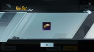 Both the items can be claimed from the mail system